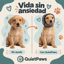Orejeras Calmantes para Perros · 4