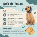 Orejeras Calmantes para Perros · 6